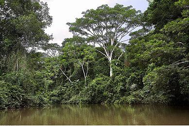 《守望先锋2》开发者将很快介绍2023年内容计划